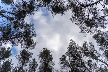 Similar image 22636477