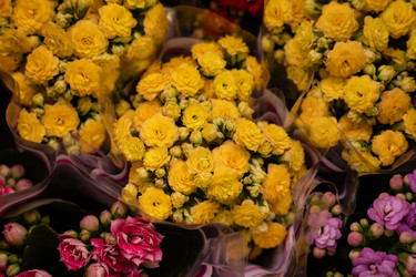 Similar image 22636978