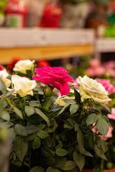 Similar image 22636979