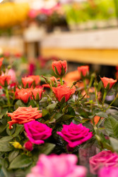 Similar image 22636980