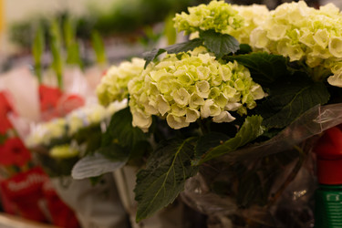 Similar image 22636983