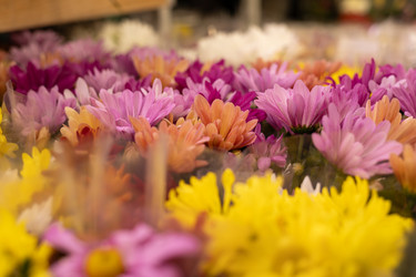 Similar image 22636998