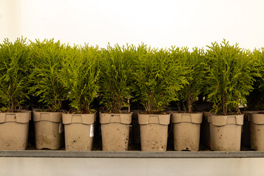 Similar image 22636999