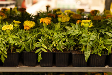 Similar image 22637000