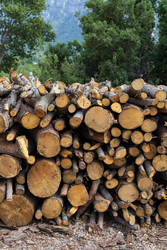 Similar image 22640648