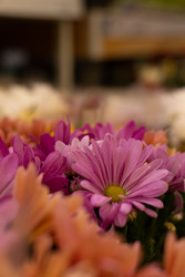 Similar image 22637001