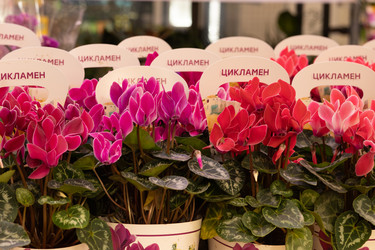 Similar image 22637016