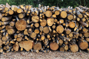 Similar image 22640649