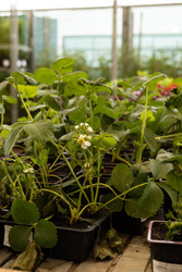 Similar image 22637046