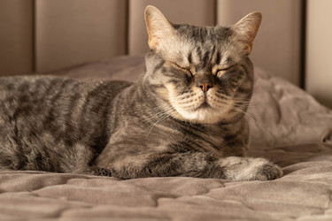 Similar image 22640650