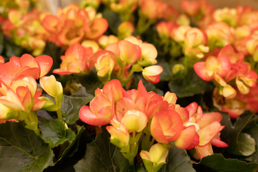 Similar image 22637059