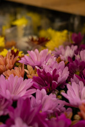 Similar image 22637061