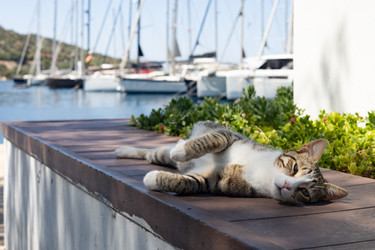 Similar image 22640651