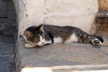 Similar image 22640652