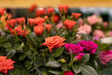 Similar image 22637104