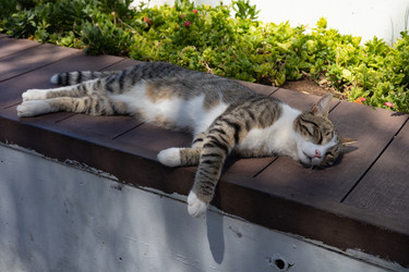 Similar image 22640653