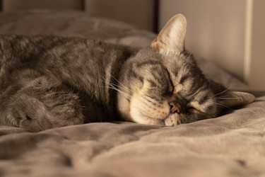 Similar image 22640657