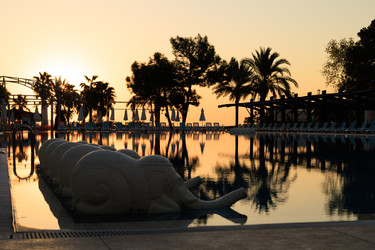 Similar image 22637136