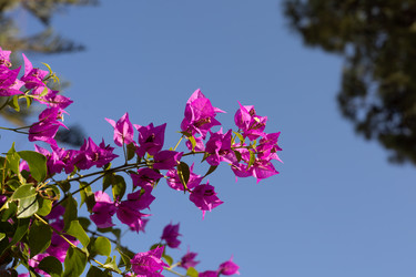 Similar image 22637165