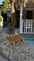 Similar image 22638252