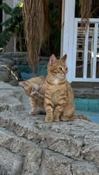 Similar image 22638253