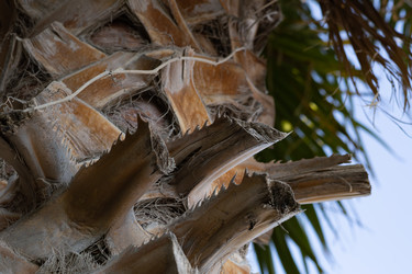 Similar image 22637192