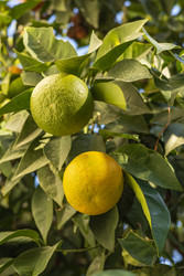 Similar image 22637194