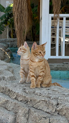 Similar image 22638254