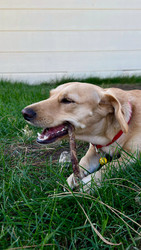 Similar image 22637209