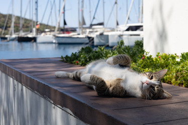 Similar image 22640666