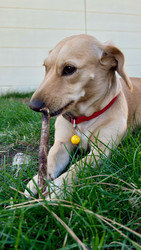 Similar image 22637225