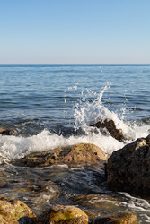 Similar image 22637226