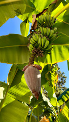Similar image 22640669
