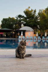 Similar image 22640671