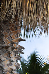 Similar image 22637241