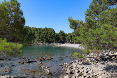 Similar image 22637268