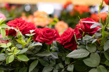 Similar image 22637269