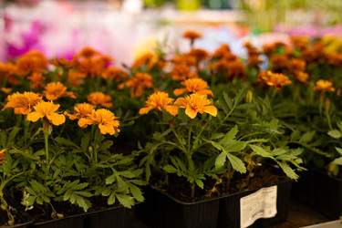 Similar image 22637270