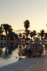 Similar image 22640675