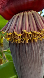 Similar image 22640676