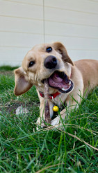 Similar image 22637271