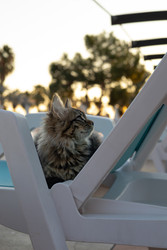 Similar image 22640677