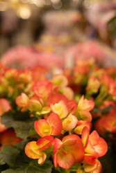 Similar image 22637279