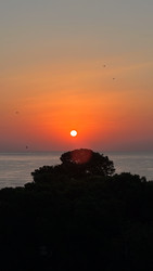 Similar image 22637285