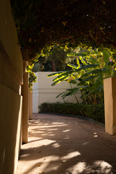 Similar image 22637296