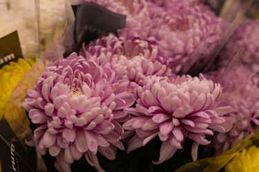 Similar image 22637300