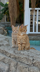 Similar image 22638255