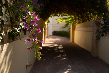 Similar image 22637310