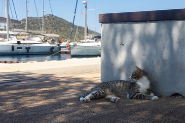 Similar image 22640686