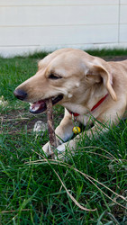 Similar image 22637313